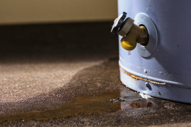  Lake Leann, MI Water damage restoration Pros