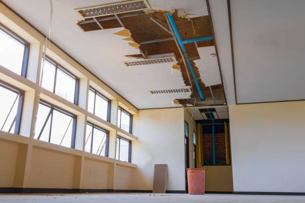 Best Commercial water damage restoration  in Lake Leann, MI