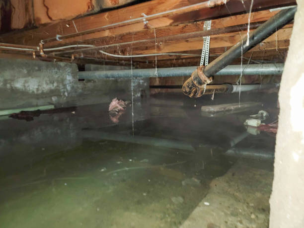 Professional Water damage restoration in MI