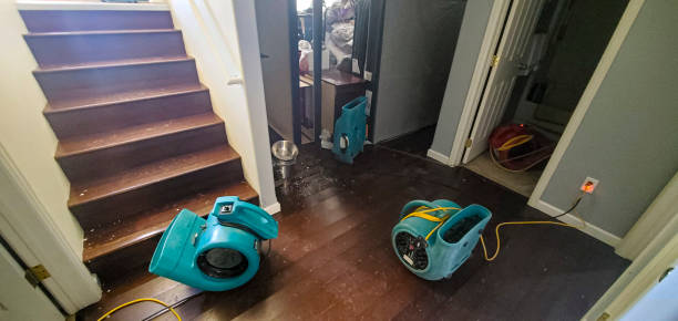 Best Flooded house restoration  in Lake Leann, MI