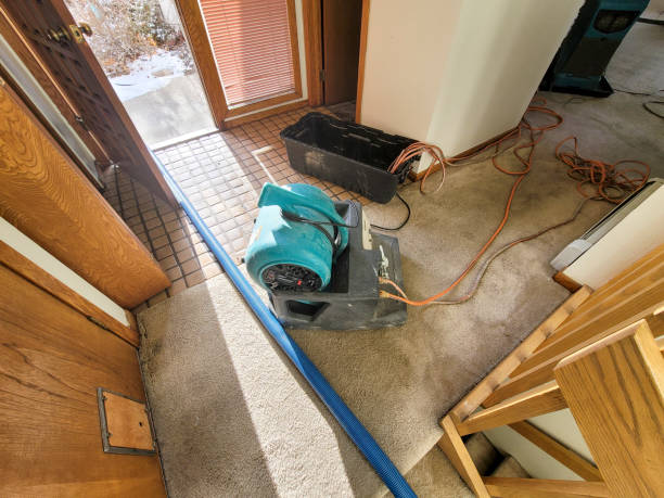 Best Ceiling water damage repair  in Lake Leann, MI