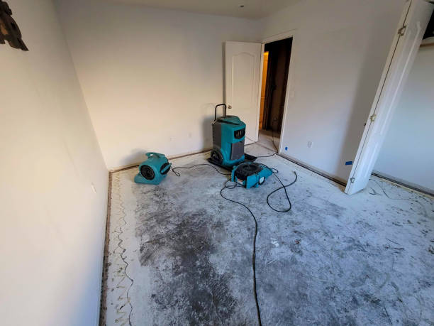 Best Water damage restoration process  in Lake Leann, MI