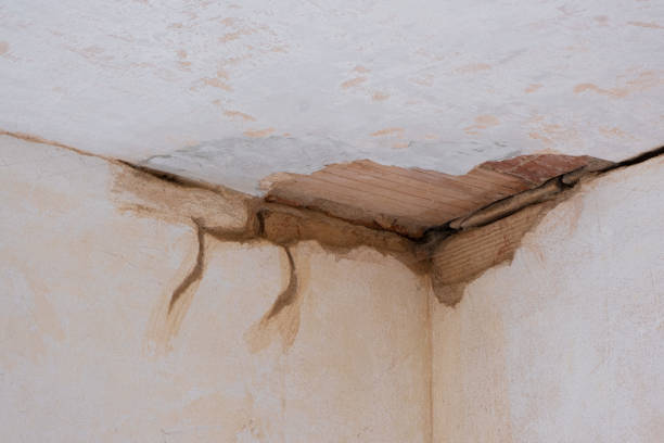 Best Water damage restoration near me  in Lake Leann, MI