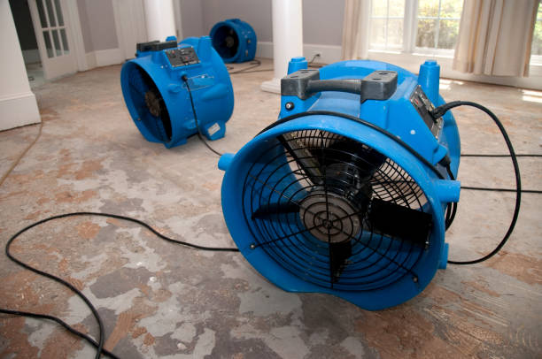 Best Water damage restoration near me  in Lake Leann, MI