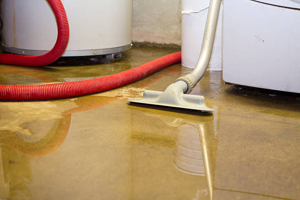 Best Water damage restoration near me  in Lake Leann, MI