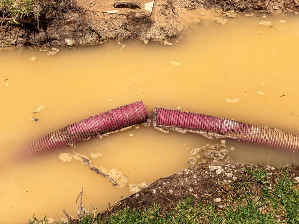 Best Water damage contractors near me  in Lake Leann, MI