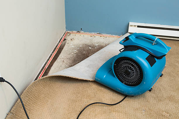 Best 24-hour water damage restoration  in Lake Leann, MI
